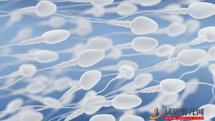 男性不育應做哪些檢查？這5種檢查項目必不可少(圖1)