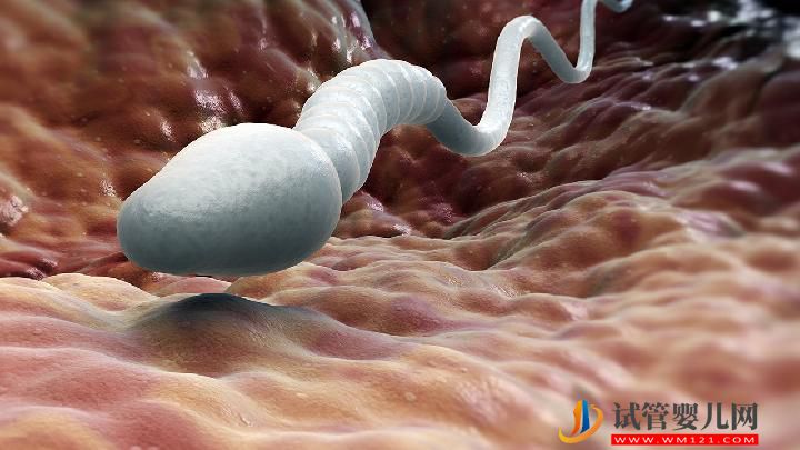 工作壓力也會導致不育嗎 3類藥物會引起男性不育(圖2)