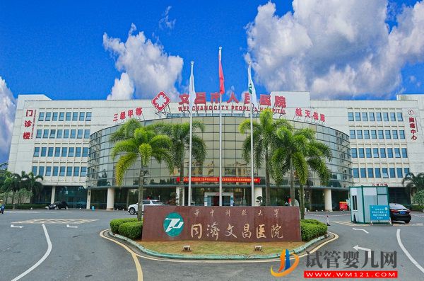 文昌市人民醫院試管嬰兒費用參考，2023造娃價目表公布(圖1)