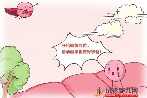 西安交大一附院試管嬰兒費(fèi)用表,2023助孕全過程花費(fèi)公開(圖3) 西安交大一附院試管嬰兒費(fèi)用表,2023助孕全過程花費(fèi)公開(圖3)