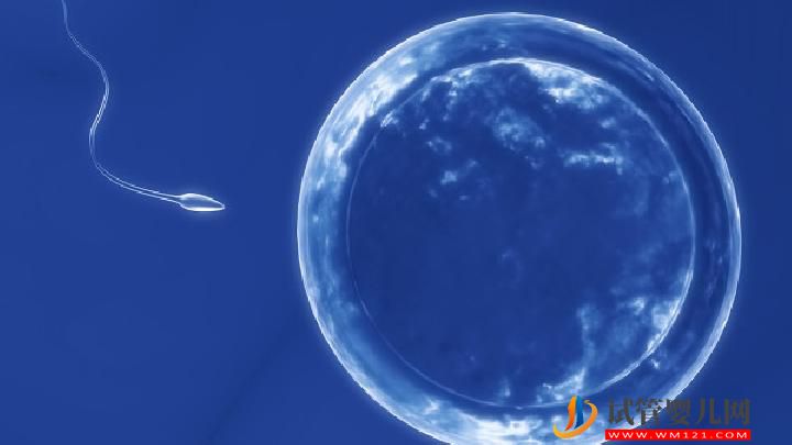 男性不育是由什么原因引起的?治男性不育有這4個方法(圖1) 男性不育是由什么原因引起的?治男性不育有這4個方法(圖1)