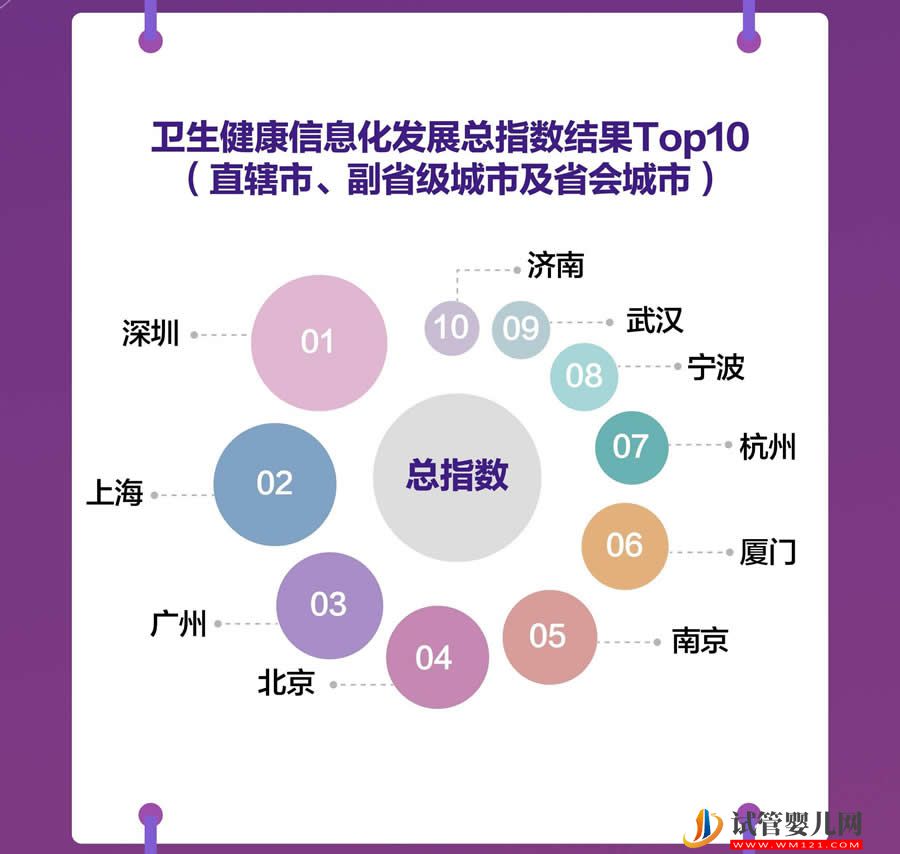 全國(guó)衛(wèi)生健康信息化發(fā)展指數(shù)（2023）發(fā)布(圖4)
