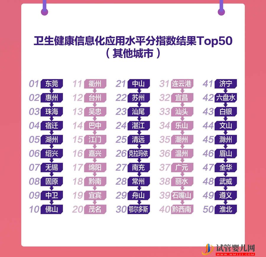 全國(guó)衛(wèi)生健康信息化發(fā)展指數(shù)（2023）發(fā)布(圖11)