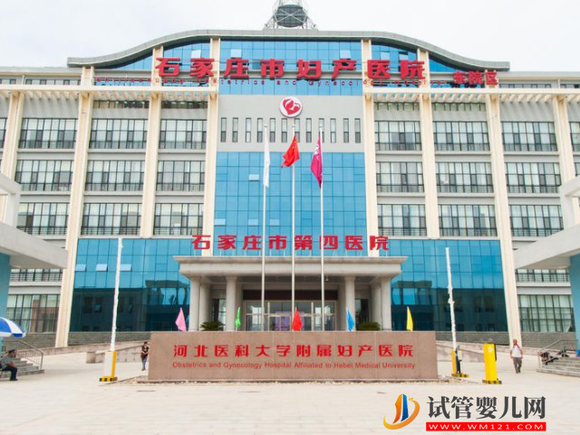 河北供卵試管醫(yī)院排行前十名，來看看哪家能位列榜首！(圖1)