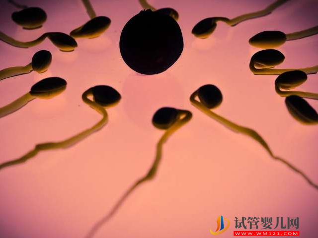 無精癥恢復生精功能并不困難，吃藥、手術都能有效解決(圖1)