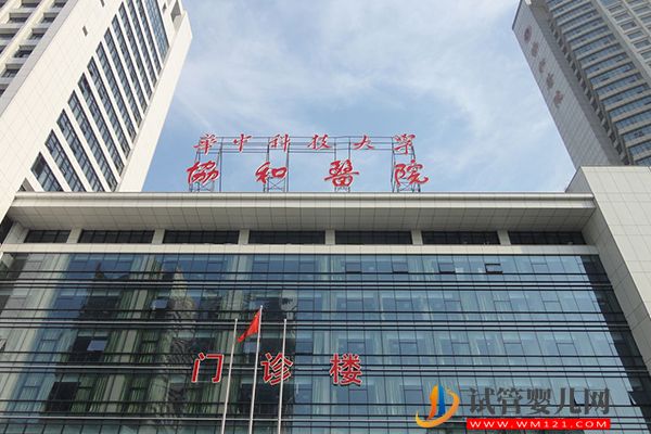 2023武漢試管哪個醫院成功率最高，同濟外這些排名也靠前(圖2)