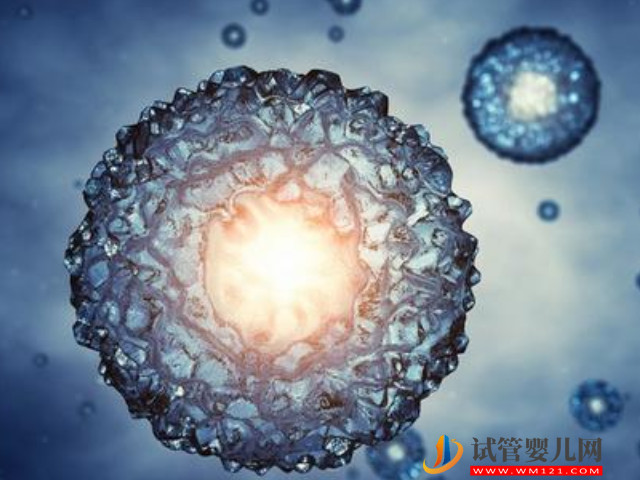 40歲去老撾做供卵試管嬰兒15萬夠嗎？(圖1)