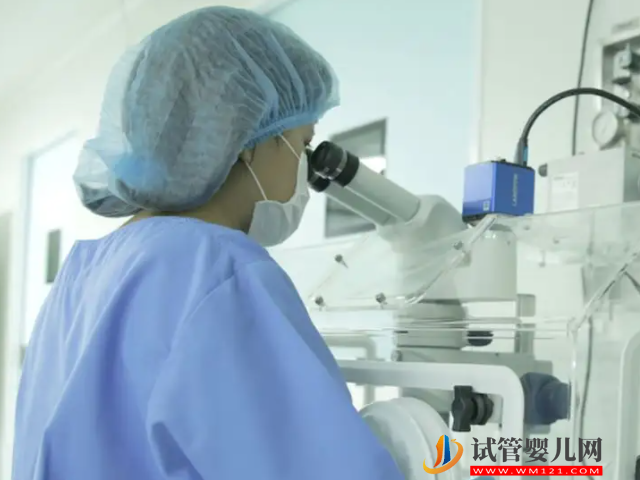 澳門試管收費(fèi)價(jià)目表，三代“包生男孩”價(jià)格并不高！(圖2)