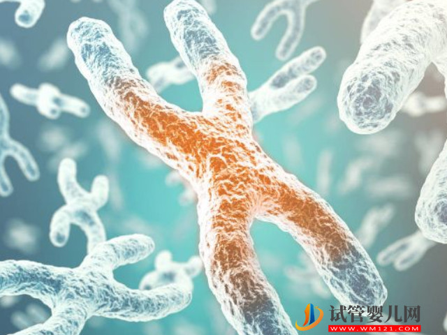 12號染色體異常，可能會導(dǎo)致胎兒多種畸形的發(fā)生(圖1)