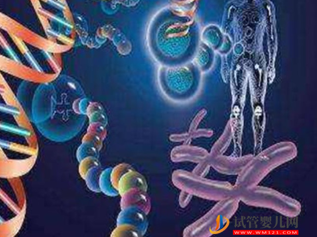 胎兒21號染色體異常是因為精子有問題嗎？(圖1)