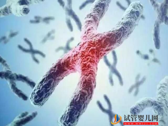 無創顯示胎兒22號染色體三體是什么意思？(圖1)