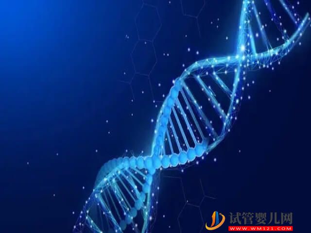 人體內的1號染色體是否是決定了胎兒的智力？(圖1)