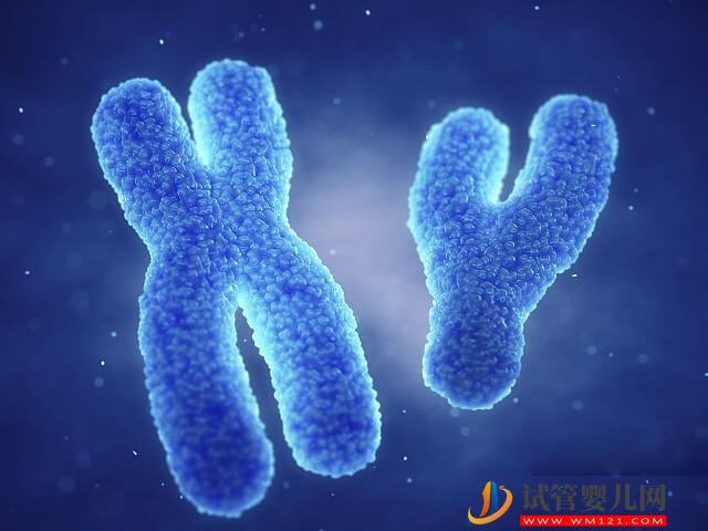 夫妻2號(hào)染色體微缺失不必?fù)?dān)心遺傳給下一代嗎？(圖1)