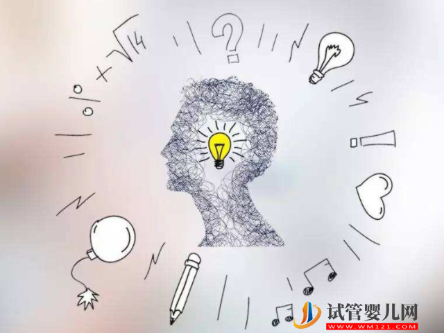 3號染色體控制了腦部神經發育，會影響寶寶的智力(圖2)