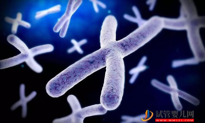 最后一塊基因“拼圖”揭開哪些生命謎團(圖1)