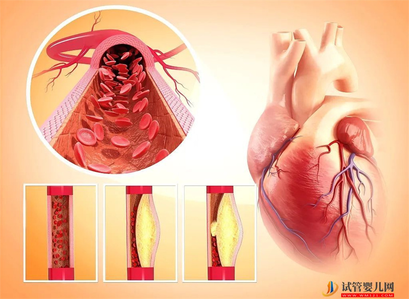 一個流傳800年的養(yǎng)生動作，比散步還簡單！通血管、強骨骼、護腰腎……(圖4)