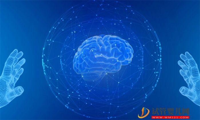 數(shù)千年間，腦容量下降了約10% 人類的大腦是怎么“丟”的？(圖1)