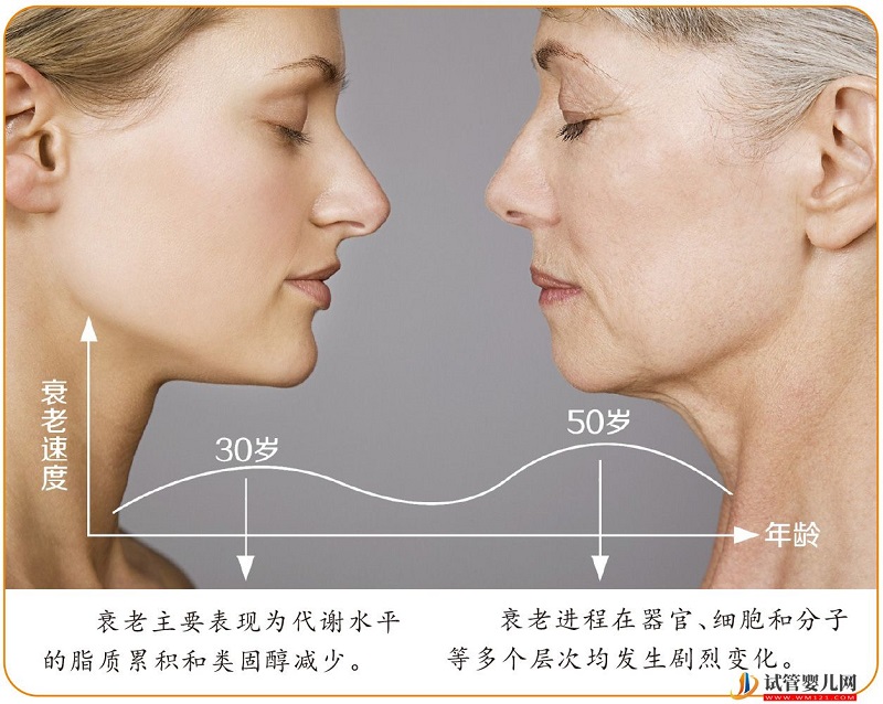 女性衰老有兩個加速點(圖2)