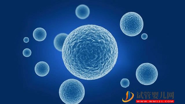 男性不育常見(jiàn)病一覽，輸精管阻塞占不孕人群的30%(圖1)