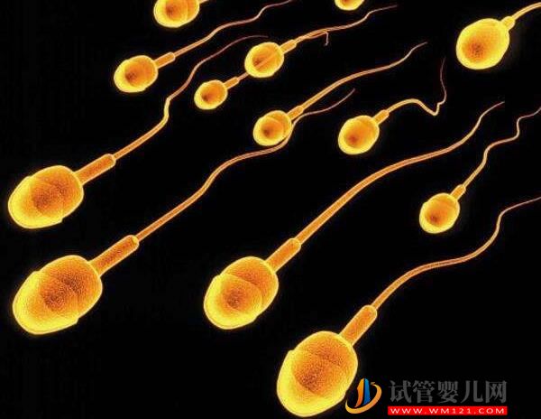 胚胎移植前注意事項清單，千萬別忘了體檢、謹慎選機構(圖2)