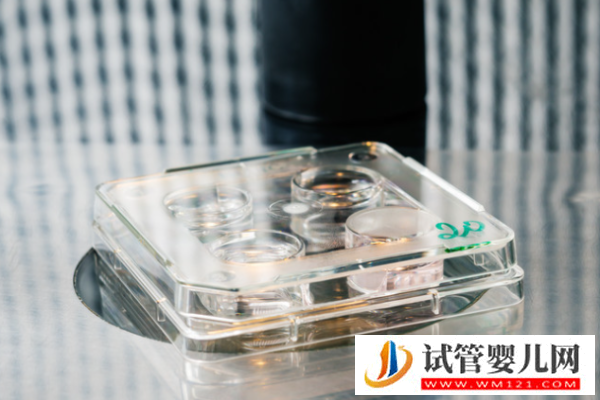 試管嬰兒謠言有哪些？打破這5大謠言，放心試管！(圖2)