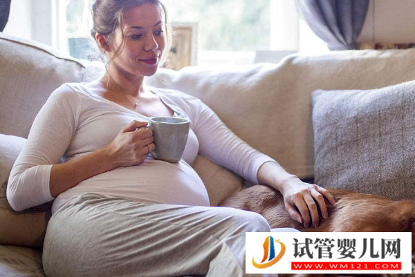 懷孕初期注意事項和飲食禁忌？避免寶寶“偷偷”走掉！(圖1)