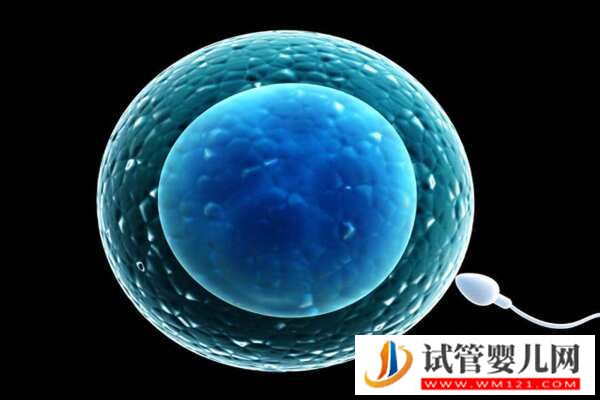精子質量會影響試管嬰兒成功率嗎？揭秘背后的真相！(圖2)