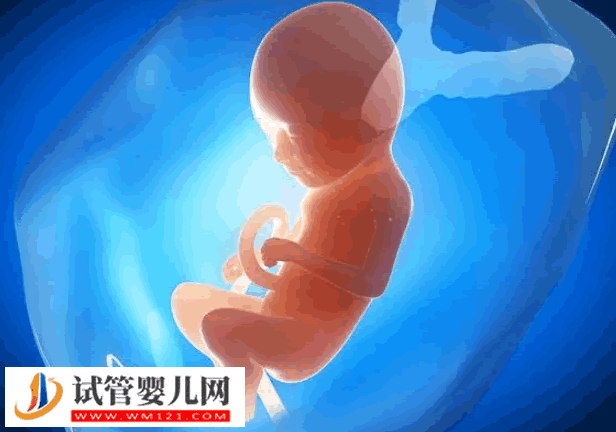 4bb囊胚的移植成功經驗分享，選擇合適的移植時間很重要(圖2)