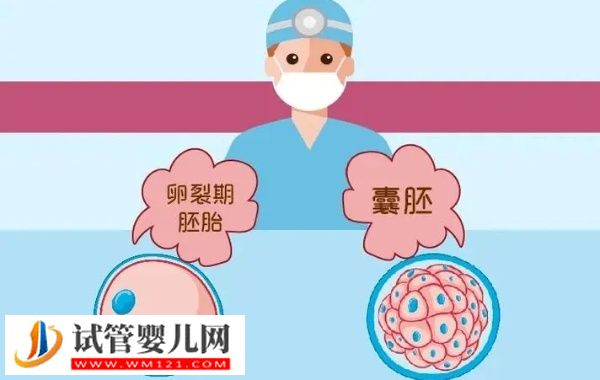 3級胚胎試管移植成功經驗分享，保持好心態格外重要(圖3)