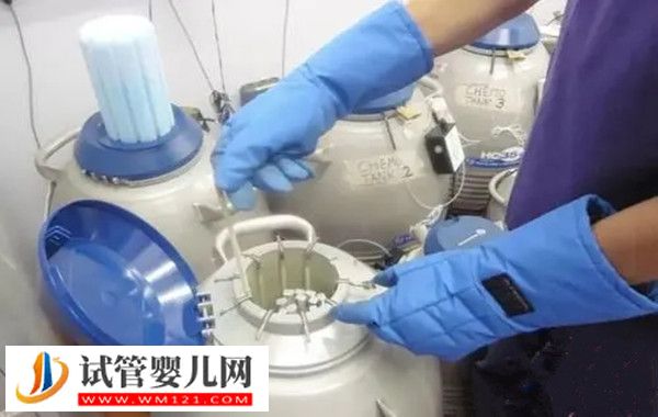 3天的凍胚著床過程分享，簡單3個步驟就“著陸”(圖1)