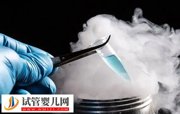 3天的凍胚著床過程分享，簡單3個步驟就“著陸”(圖2)