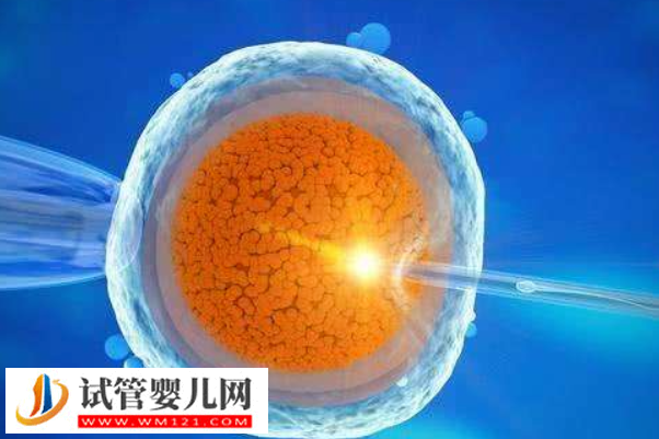 格魯吉亞試管嬰兒費用明細分享，看完就知道要花多少(圖2)