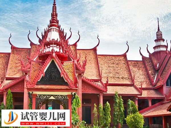 柬埔寨試管嬰兒無法選擇種族，還需滿足這些條件(圖1)