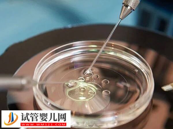 泰國權(quán)威三代試管嬰兒醫(yī)院匯總,杰特寧、BNH醫(yī)院都在里面(圖1) 泰國權(quán)威三代試管嬰兒醫(yī)院匯總,杰特寧、BNH醫(yī)院都在里面(圖1)