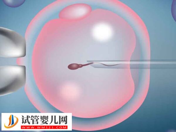 新余市權威生殖中心分享，成功率平均50%(圖2)