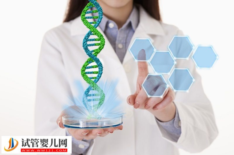 做試管嬰兒多少錢_做試管嬰兒成功率如何(圖2)