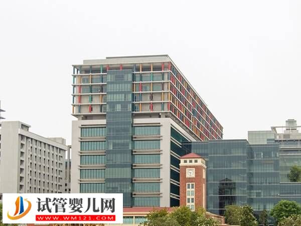 柬埔寨做試管嬰兒要多少錢？根據患者身體情況決定(圖2)