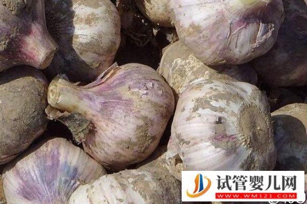 取卵后醫生談話談啥、談多久看這，專家：時間越久暗示...(圖1)