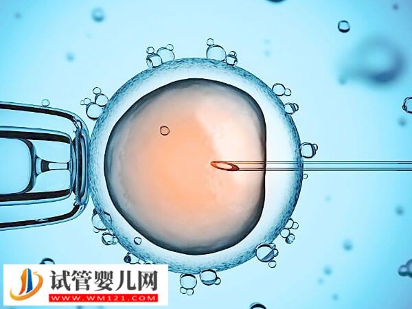 試管嬰兒移植后吃什么食物容易著床(圖1) 試管嬰兒移植后吃什么食物容易著床(圖1)