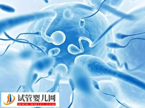 男性的精子活力達到多少才可以做二代試管嬰兒(圖1)