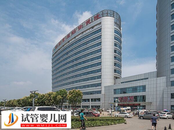 棗莊市婦幼試管嬰兒妊娠率比你想象的高！醫生：情緒很重要(圖2)