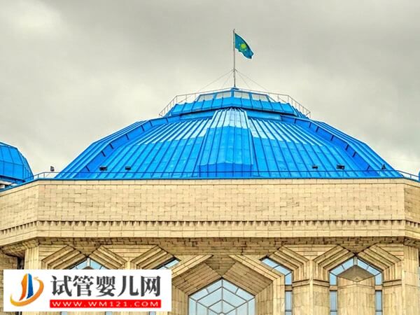 哈薩克斯坦三代試管嬰兒助孕費公開，卡里備9萬心中不慌(圖1)