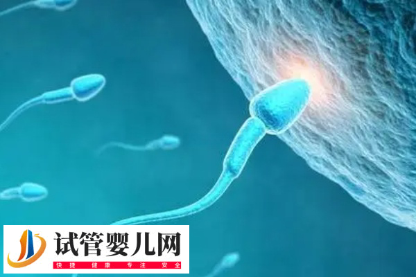 前往北京做試管還是天津比較好(圖2)