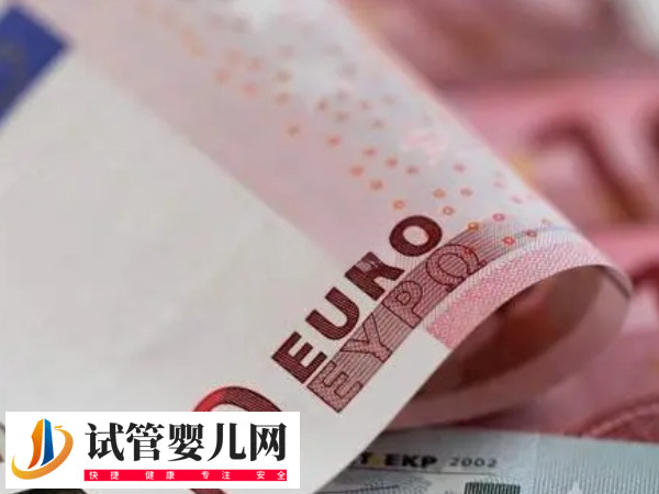 日本試管嬰兒雙胞胎幾率有多大(圖2)