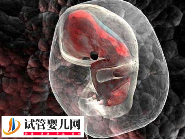 泰國(guó)試管嬰兒技術(shù)好不好(圖1)