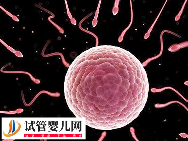 在俄羅斯做試管步驟是什么(圖2)