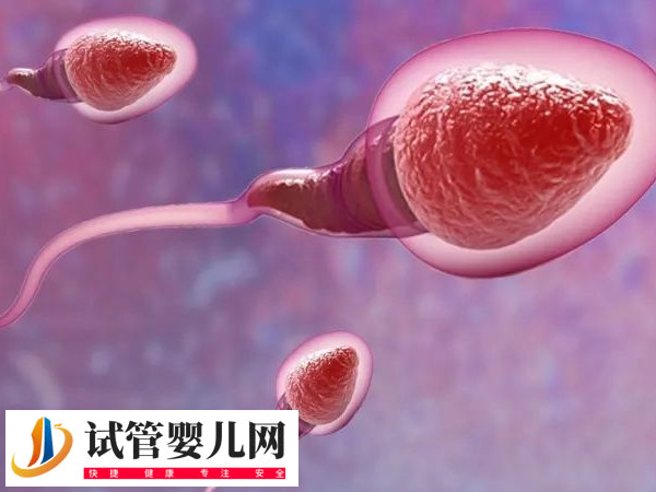 前往江門市中心醫(yī)院做試管的技術(shù)如何(圖1) 前往江門市中心醫(yī)院做試管的技術(shù)如何(圖1)