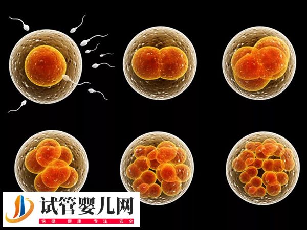 夫妻在茂名人民醫(yī)院移植哪種胚胎好(圖3) 夫妻在茂名人民醫(yī)院移植哪種胚胎好(圖3)