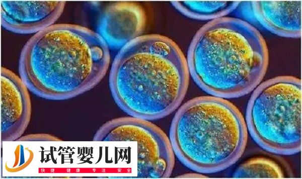 夫妻在茂名人民醫(yī)院移植哪種胚胎好(圖2) 夫妻在茂名人民醫(yī)院移植哪種胚胎好(圖2)