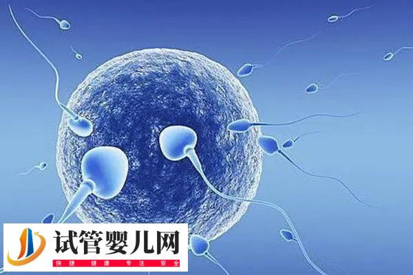 前往徐州四院做試管的費用多少(圖2)